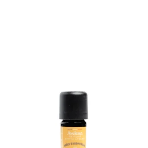 Flacon de 5 ml d'huile essentielle de romarin à verbénone bio de la marque AVELENN