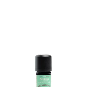 Flacon de 5 ml d'huile essentielle de menthe poivrée bio de la marque AVELENN