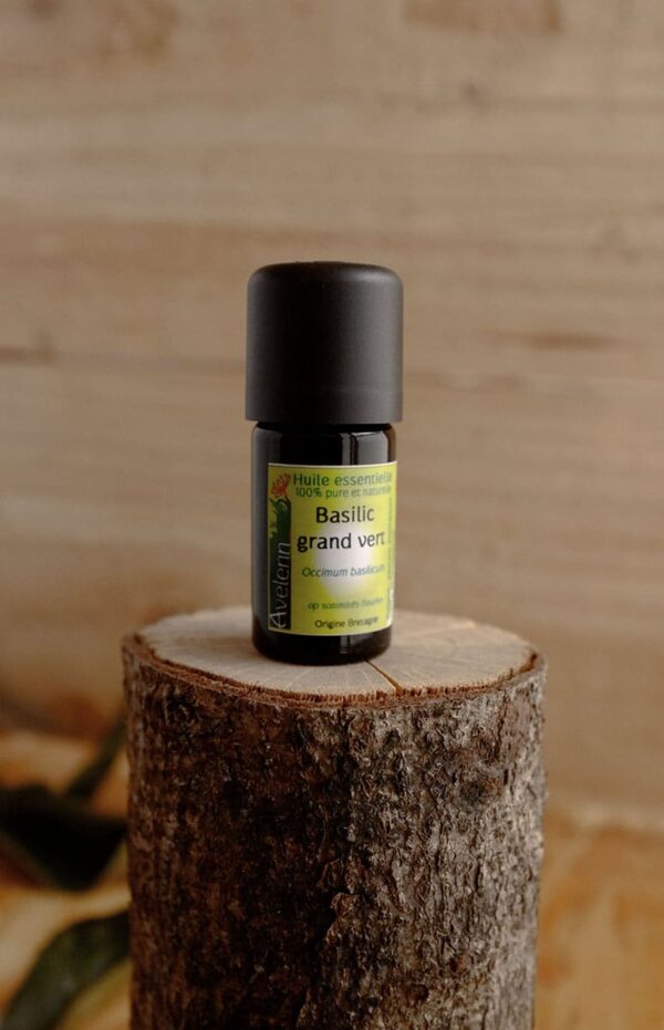 huile essentielle bio et locale origine bretagne basilic