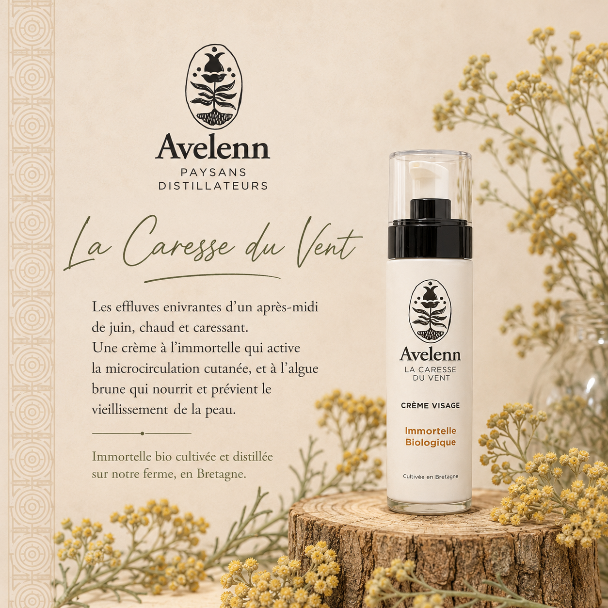 Crème visage immortelle biologique – Image 2