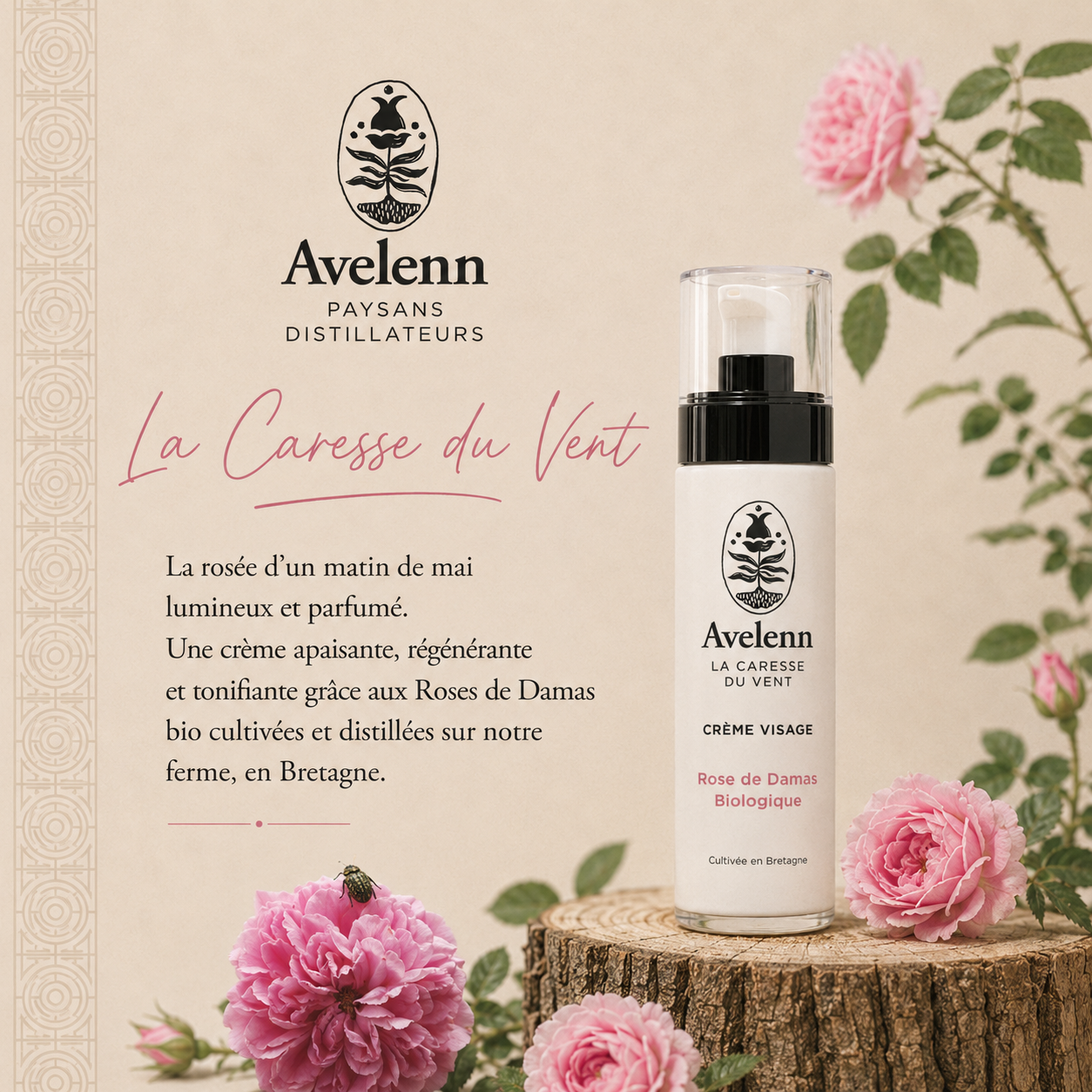 Crème visage Rose de Damas biologique – Image 2